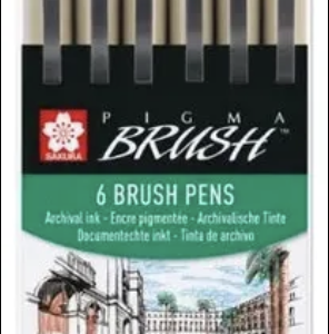 PIGMA BRUSH X6  SAKURA